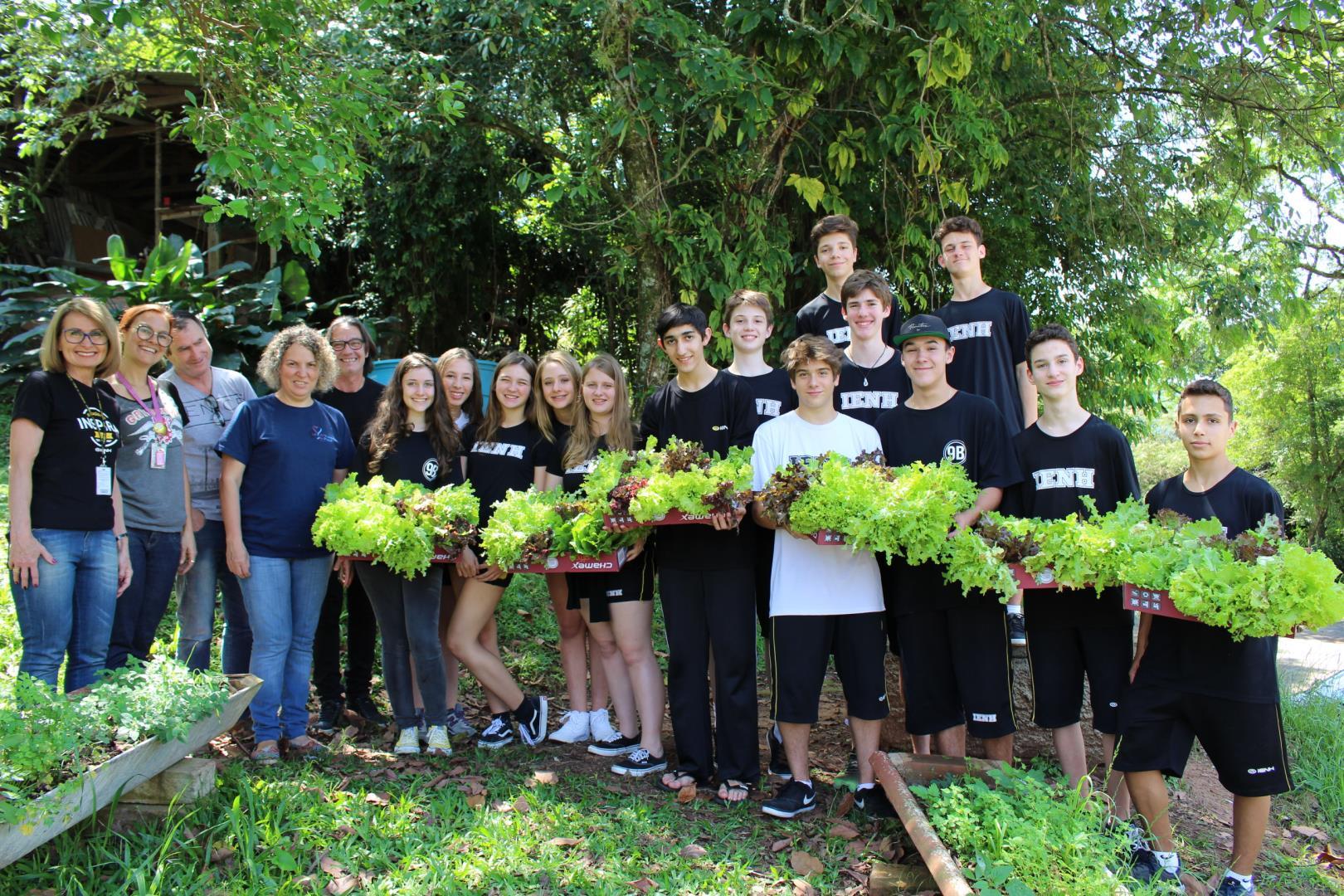 Alfaces cultivadas por alunos na Fundação Evangélica são doadas para entidades sociais