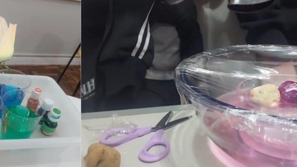 Alunos dos 5ºs anos da IENH investigam as propriedades da água Alunos dos 5ºs anos da IENH investigam as propriedades da água