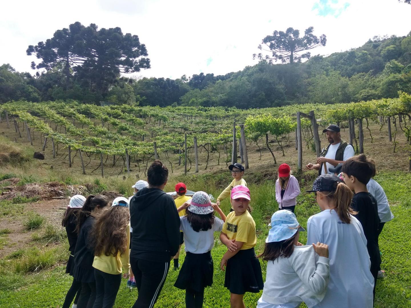 Aprendizagens sobre a natureza no passeio ao Colégio Bom Pastor