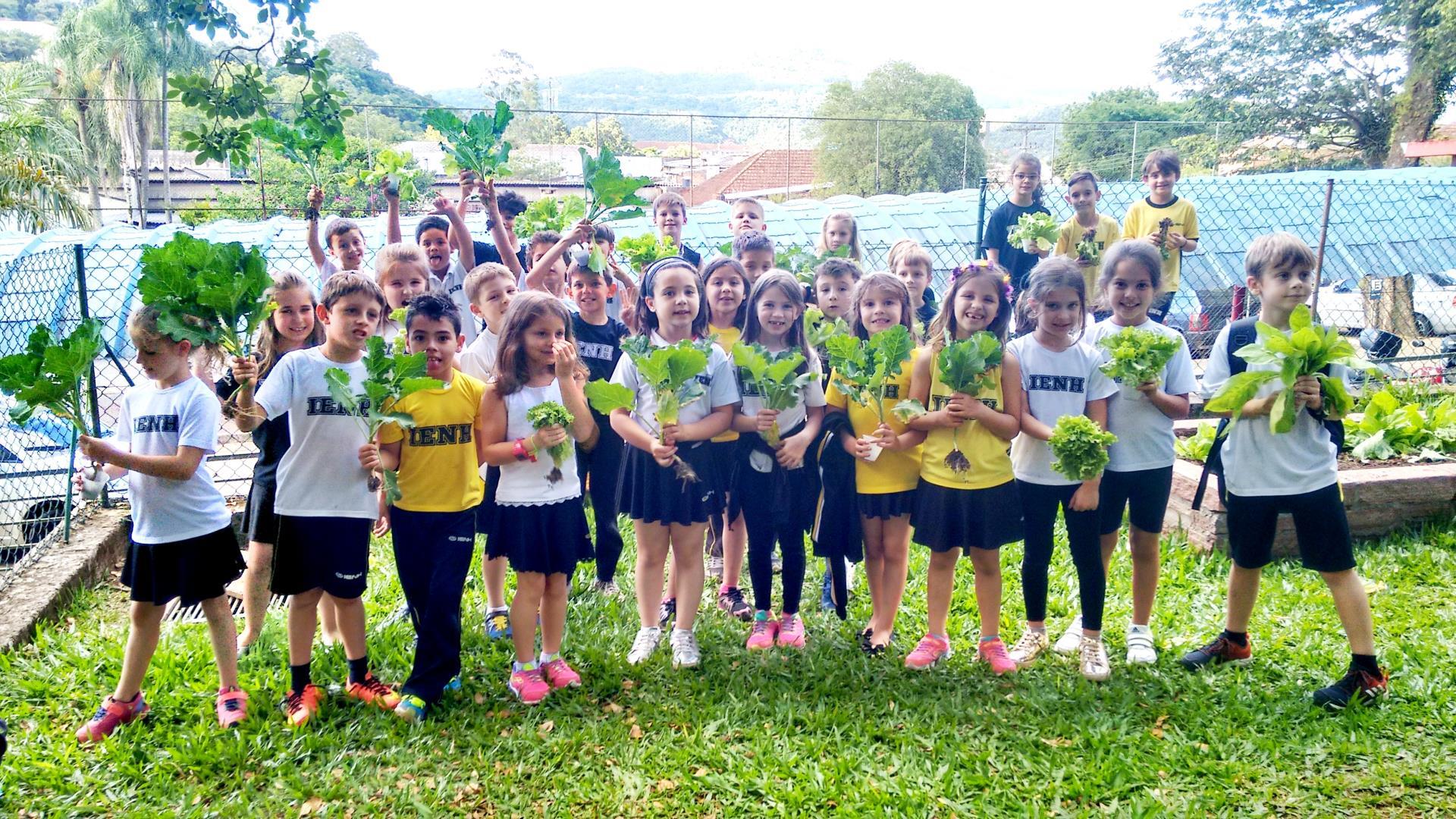 Colhendo hortaliças e seguindo o Projeto Horta Escolar em 2017