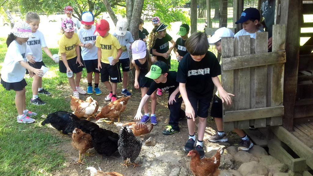 Contato com a natureza e integração na visita ao sítio Campo 7 amigos