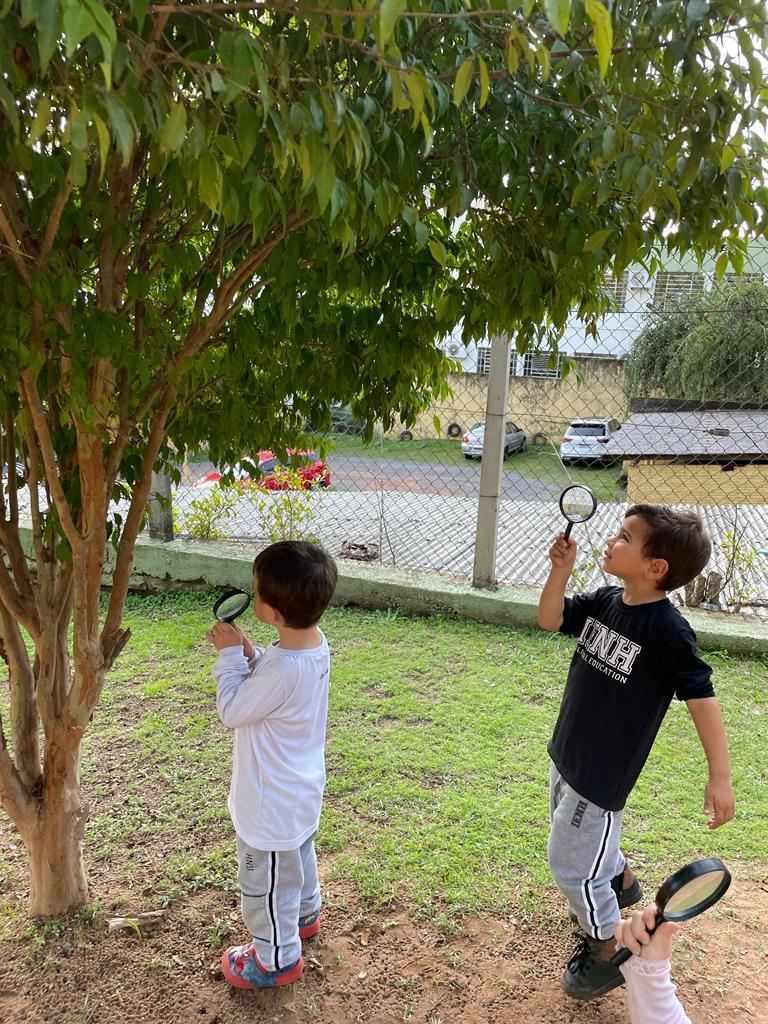 Crianças da Educação Infantil observam o processo de metamorfose da borboleta Crianças da Educação Infantil observam o processo de metamorfose da borboleta