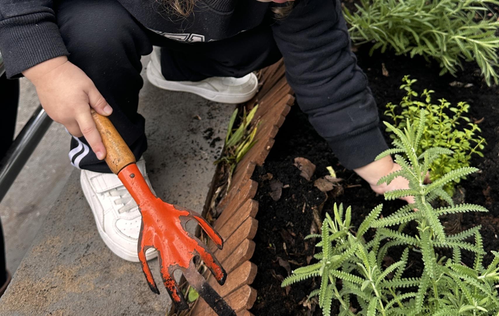 Crianças da Unidade Pindorama cultivam aprendizagens em plantação coletiva