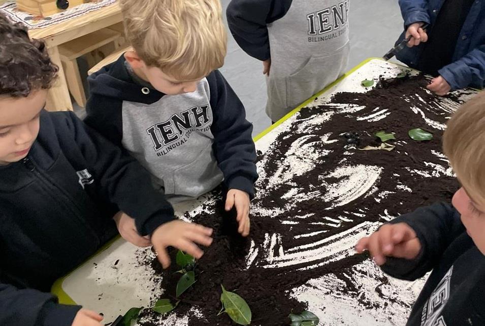 Entre terras, folhas e formiguinhas: Kindergarten 3A da Unidade Oswaldo Cruz explora a natureza