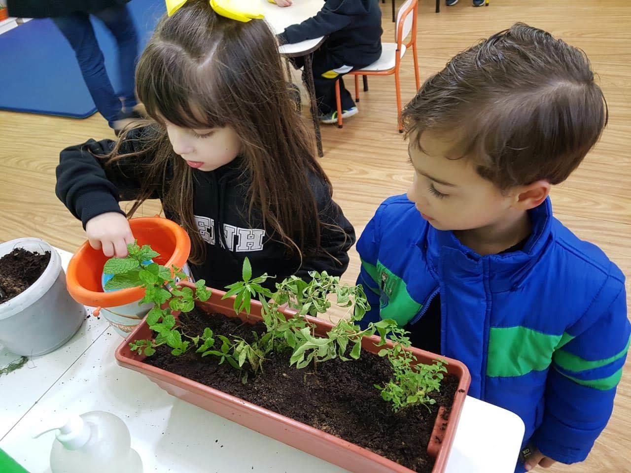 Experiências colaborativas nos Níveis 4 da Educação Infantil