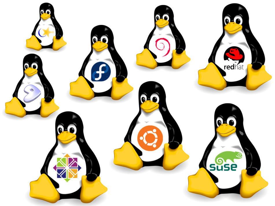 Linux é tema de curso na Faculdade IENH