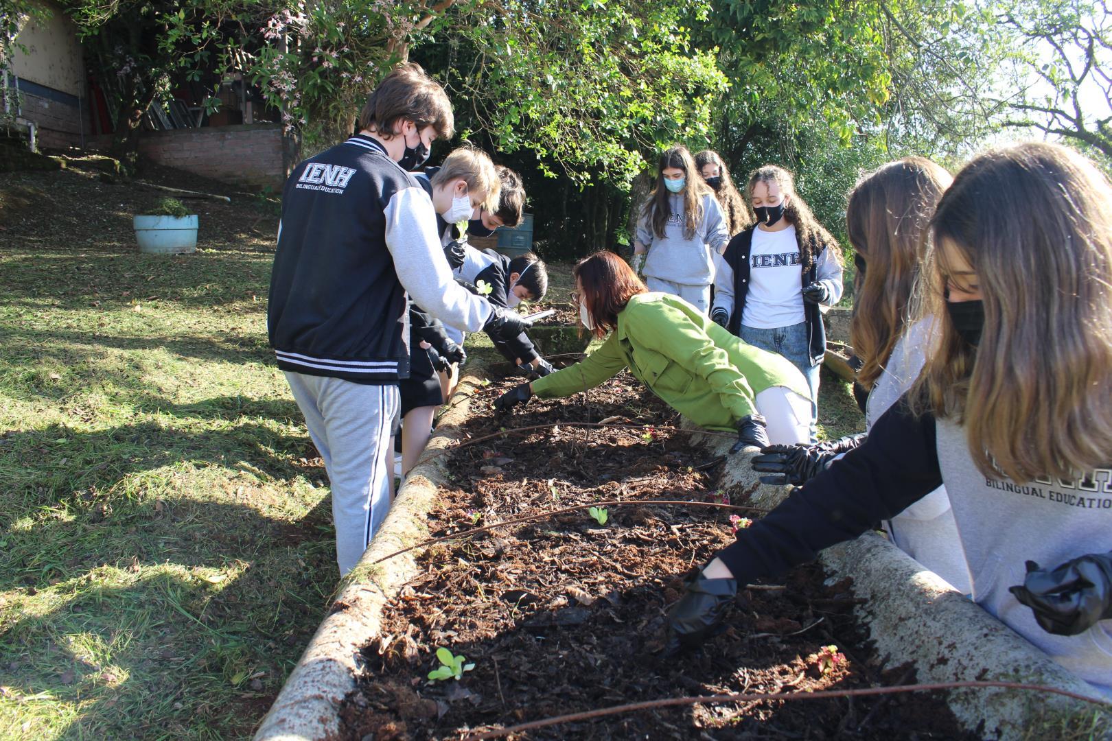 Mudas de alfaces são plantadas na Unidade Fundação Evangélica