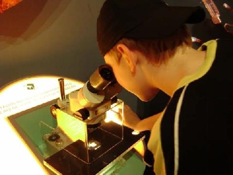 Turma dos Projetos do Ensino Fundamental estuda os mistérios do corpo humano