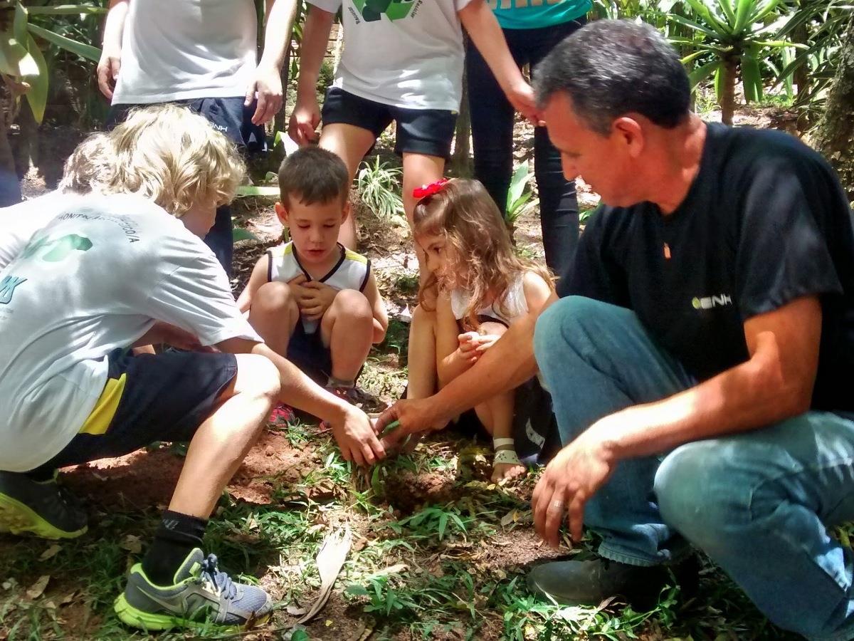 Cultivando a tradição: muda de Erva Mate é plantada por alunos