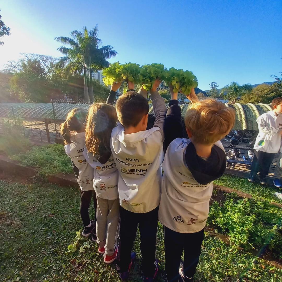 Turmas dos 2ºs anos da Unidade Pindorama colhem alimentos plantados por eles na horta escolar