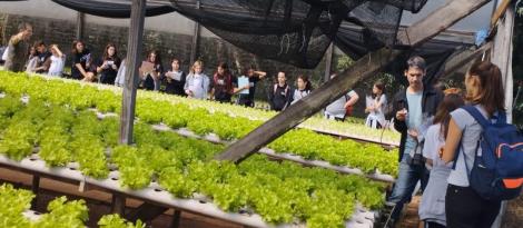 Alunos dos 6°s anos da Unidade Oswaldo Cruz visitam Oma’s Garten Agroecologia e a H2orta Hidroponia