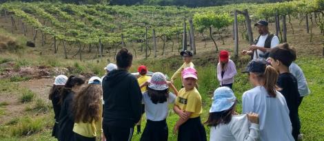 Aprendizagens sobre a natureza no passeio ao Colégio Bom Pastor