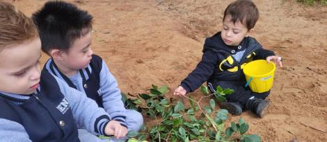 Crianças da Unidade Pindorama criam quadros com elementos naturais 