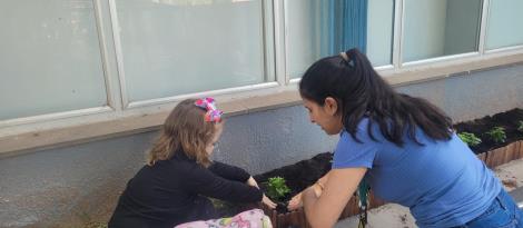 Cultivando aprendizados: crianças realizam plantio no pátio da Unidade Pindorama Cultivando aprendizados: crianças realizam plantio no pátio da Unidade Pindorama
