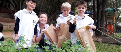 Dia de colheita na horta escolar da Unidade Pindorama Dia de colheita na horta escolar da Unidade Pindorama
