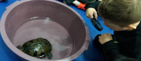 Educação Infantil da IENH pesquisa o fundo do mar em projeto de estudos  Educação Infantil da IENH pesquisa o fundo do mar em projeto de estudos