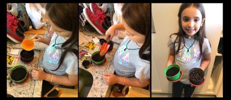 Experimento de plantio em casa: estudantes desenvolvem a curiosidade e a prática investigativa  Experimento de plantio em casa: estudantes desenvolvem a curiosidade e a prática investigativa