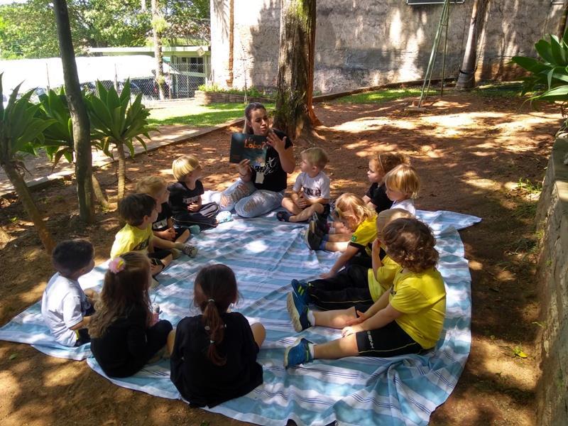 Exploração da natureza e descobertas no estudo sobre lobos