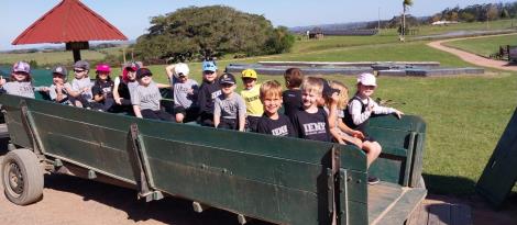 Kindergarten 5 da Unidade Oswaldo Cruz participa de passeio na Quinta da Estância Kindergarten 5 da Unidade Oswaldo Cruz participa de passeio na Quinta da Estância
