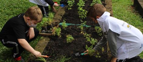 Monitores Ecológicos da Unidade Pindorama realizam plantio na horta escolar