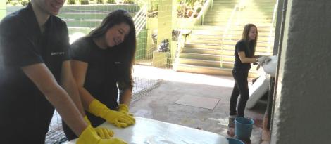 Mutirão de limpeza organizado pelo Grêmio Estudantil Castro Alves