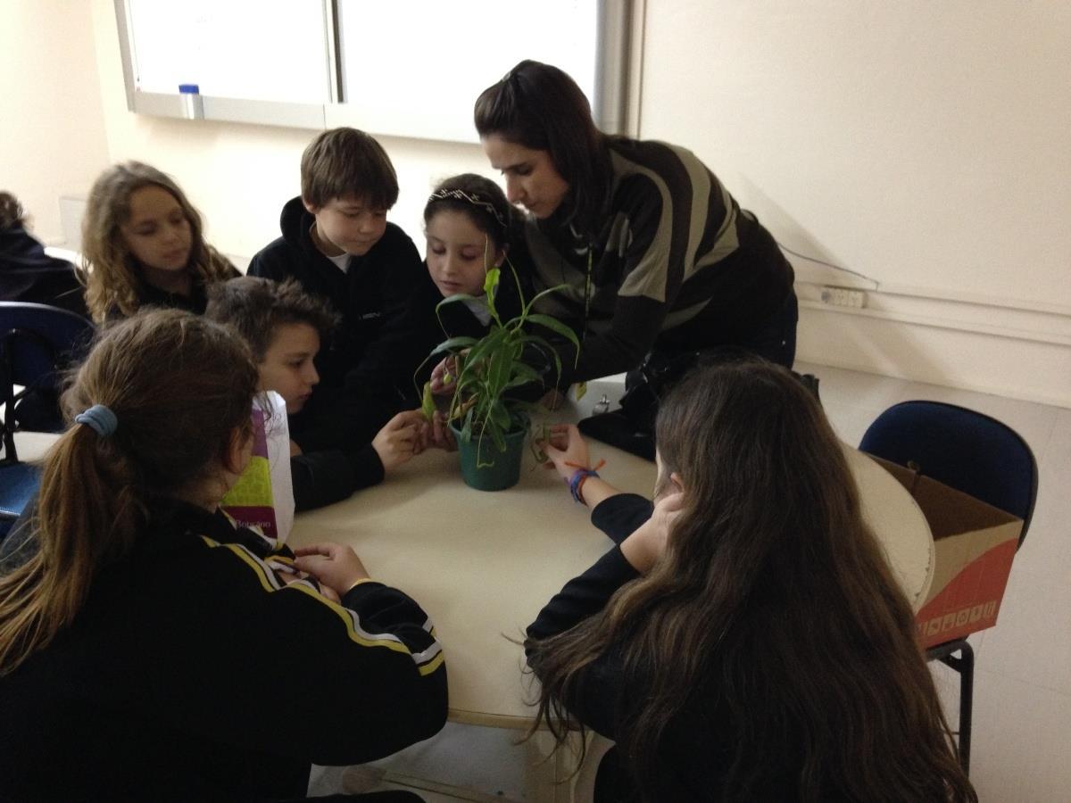 Monitores Ecológicos aprendem sobre Plantas Carnívoras