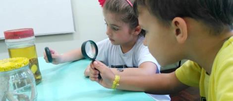 Nível 4 aprende sobre vertebrados e invertebrados em visita ao Laboratório de Ciências Nível 4 aprende sobre vertebrados e invertebrados em visita ao Laboratório de Ciências