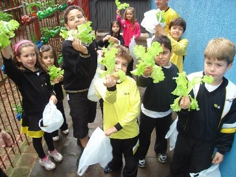 Estudantes colhem alface na Horta Suspensa