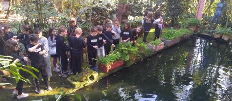 Passeio de estudos é realizado pelas turmas dos 3°s anos no Ensino Fundamental da IENH Passeio de estudos é realizado pelas turmas dos 3°s anos no Ensino Fundamental da IENH