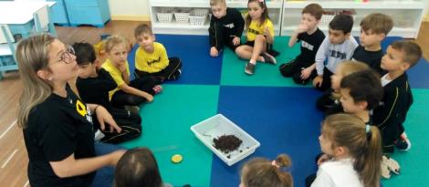 Pesquisa sobre minhocas no Nível 4C Pesquisa sobre minhocas no Nível 4C