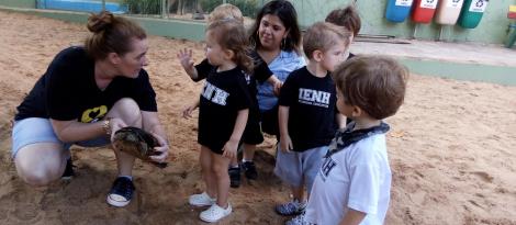 Tartarugas da Unidade Oswaldo Cruz são tema de pesquisa dos Níveis 2 da Educação Infantil