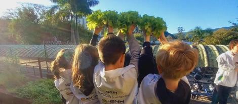 Turmas dos 2ºs anos da Unidade Pindorama colhem alimentos plantados por eles na horta escolar